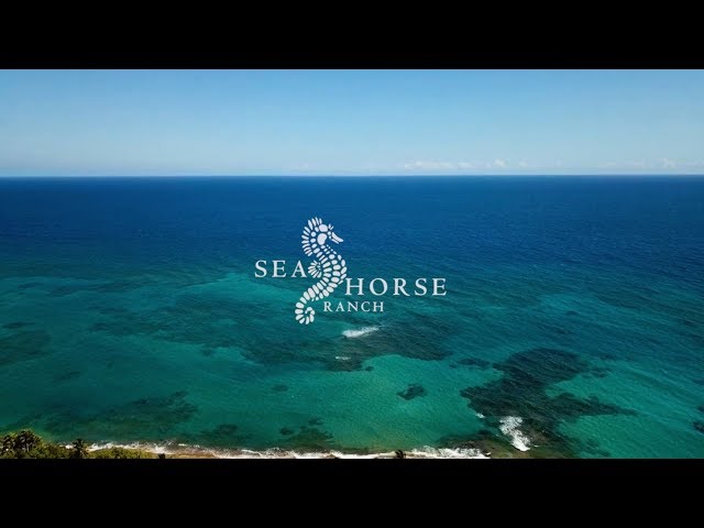 Sea Horse Ranch Resort Overview