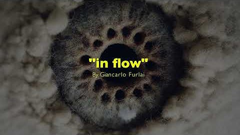 Giancarlo Furlai - In Flow