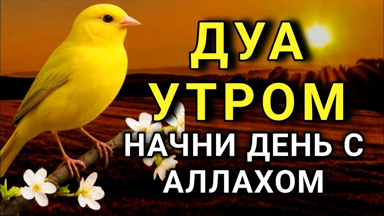 ☝️✨ ДУА УТРОМ — НАЧНИ ДЕНЬ С АЛЛАХОМ  🌅🕋🤲