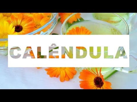 Os 10 Benefícios da Calêndula Para Saúde | Dicas de Saúde