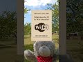 What does the "Fi" in WiFi mean?