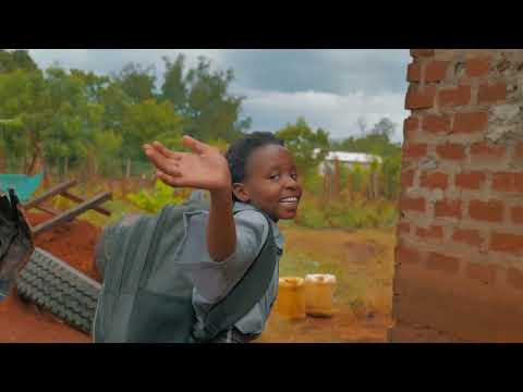 DEREVA OFFICIAL VISUALISER
