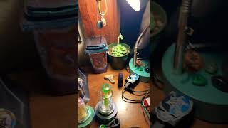 Puffco Peak Pro.. Spider Glass.. Puffco Proxy… DA Glass…. What we are working with tonight! Puffco Peak Pro.. Spider Glass.. Puffco Proxy… DA Glass…. What we are working with tonight!