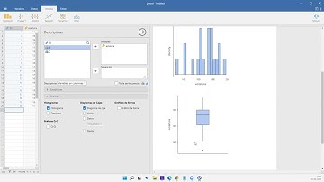 Jamovi español Review breve