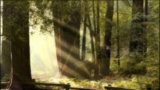 ♥♫MOONLIGHT FLOWER - MICHAEL CRETU♥♫