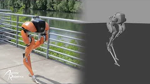 Cassie Sim Comparison