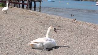 Lago di Bracciano e Trevignano Romano