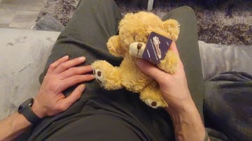 How to use the BooBuddy Jr EMF Bear for Ghost Hunting