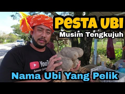 Video: Panduan Pelik