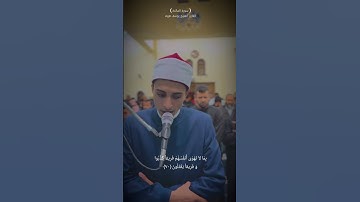 ما تيسر من سورة ( المائدة ) في صلاه التراويح من مسجد رامو بصوت القارئ الشيخ #يوسف هيبه