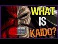 What Is Kaido? His Power & Invulnerability - One Piece Theory | Tekking101