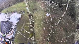 Treemankyle in Carlow 2