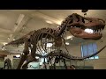 Amazing American Museum of Natural History in New York / From the Movie: Night at the Museum