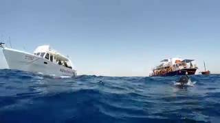 Freediving at Zenobia Wreck 26/6/2016