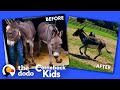 Donkey With Overgrown Hooves Runs Free For The First Time | The Dodo Comeback Kids