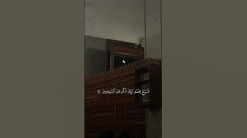 {ولقد نعلم أنك يضيق صدرك بما يقولون} القارئ اسلام صبحي
