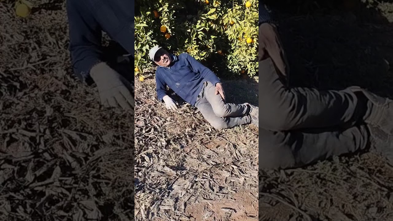 الحمد لله على الخيرات من منطقة برحيل اقليم تارودانت 🇲🇦🇲🇦🌧️🌧️🌧️🇲🇦