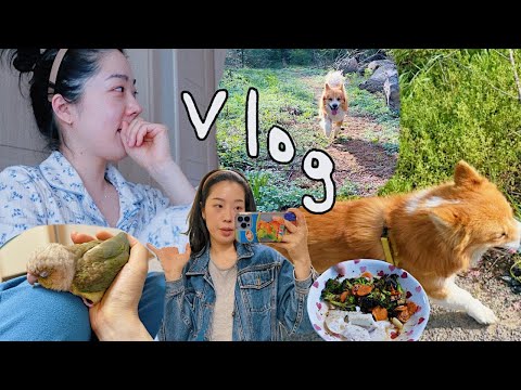 🌱(광고) 285 Vlog I 드라마와 새 덕질 I 스킨케어 I 서울 나들이 I 개새와 함께하는 일상 I 김갈릭
