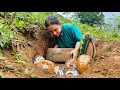 Ancient treasure under mai house   farm building and cooking