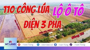 🌾 110 công lúa mặt tiền lộ nhựa, điện 3 pha, giá hấp dẫn | Vĩnh Gia - An Giang || Ivan Tùng 