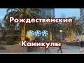 Рождественские Каникулы США ВЛОГ