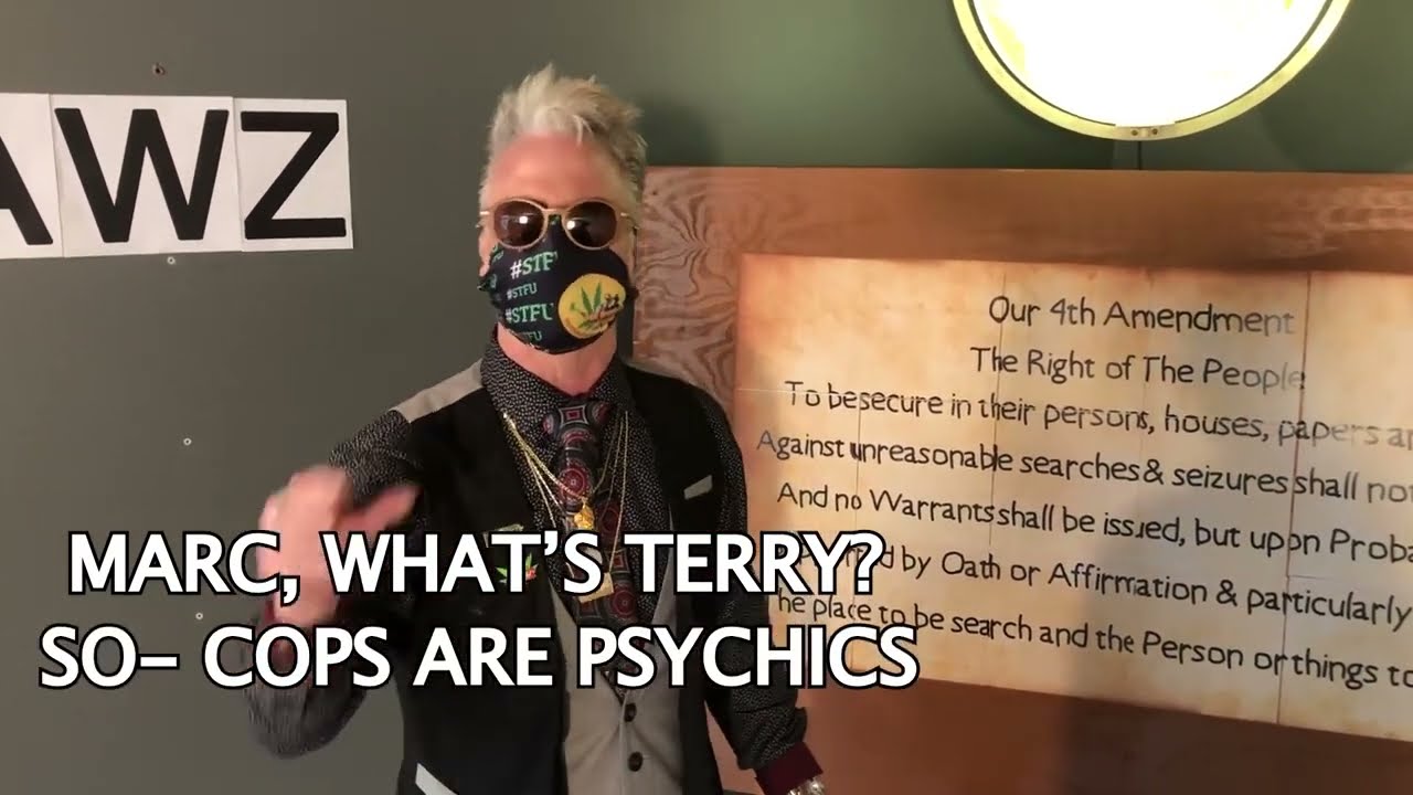 Pot Bros at Law Marc Wasserman & David Madwin: What is Terry v Ohio.