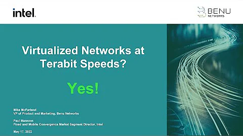 Virtualized Networks at Terabit Speeds   Yes