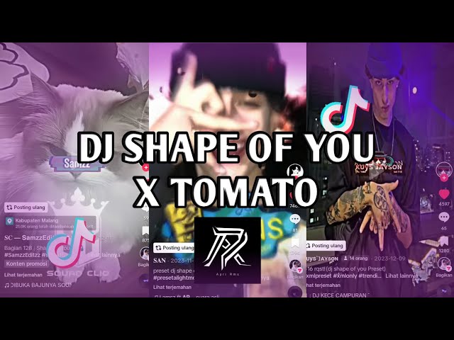 DJ SHAPE OF YOU X TOMATO PRIDE JEDAG JEDUG VIRAL TIKTOK SOUND ENAKEUN (Apri Rmx) class=