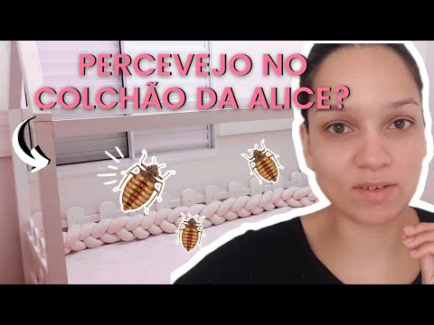 Vídeo: Como destruir percevejos em um apartamento? A luta contra os percevejos: fundos, comentários