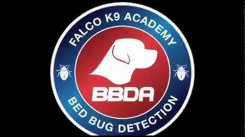 What does a Bedbug Detection Dog do?