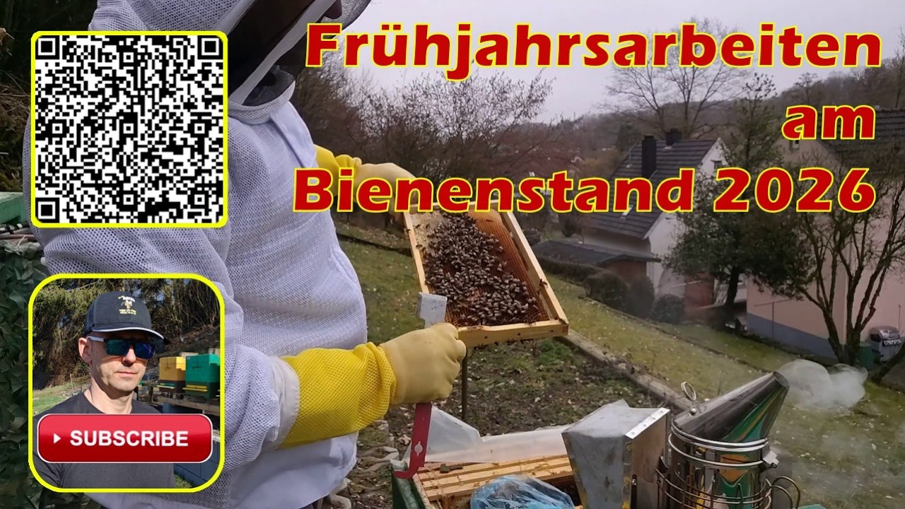 Frühjahrsarbeiten im Bienenstand - Februar 2026