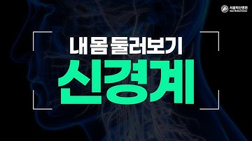 신경계 [내 몸 둘러보기]