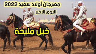 اليوم من مهرجان التبوريدة ب اولاد سعيد تادلة اقليم بني ملال  مستوى كبير ، خيول و سربات ما شاء الله