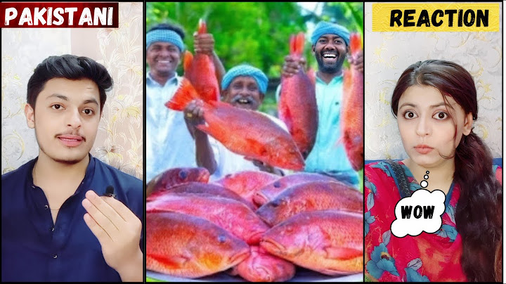 RED SNAPPER FISH 😯 | Big Fish Grill Recipe Cooking in Village | Fish Fry in Clay | Ancient Cooking!!