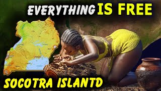 18 Strange Things Only Found on the Alien Island - Socotra Island