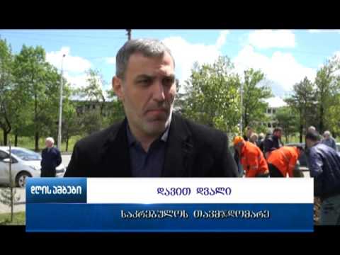 დედამიწის დღესთან დაკავშირებით  ქუთაისში ხეების დარგვის აქცია გაიმართა