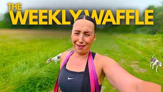 ☕The Weekly Waffle #2 | I've Got A Few Things I Want To Share With You