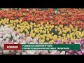 У Києві на Співочому полі урочисто відкрили виставку тюльпанів