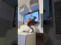 Каждый вечер у нас своя мелодрама