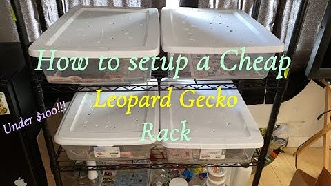 How to Setup a Cheap Leopard Gecko Rack | Reptile Rack Enclosure