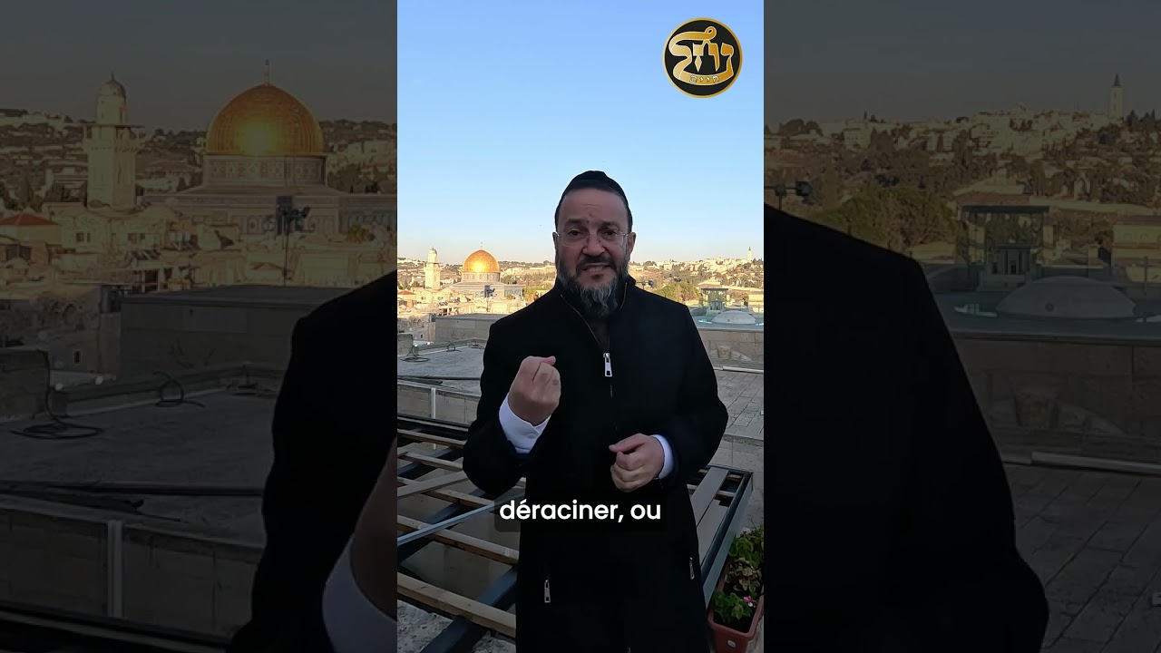 #VAYEHI: C'est l'intention qui compte ! | La minute paracha avec Rav Dagani Cohen #paracha #torah