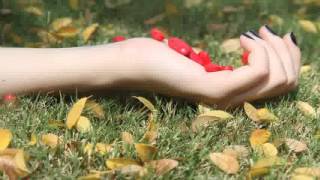 Medicaid Therapist in Denver