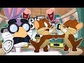 Looney Tunes en Latino | La prueba del mejor amigo | WB Kids