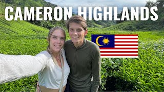 The ULTIMATE Cameron Highlands Tour 🇲🇾 Watch this before going!