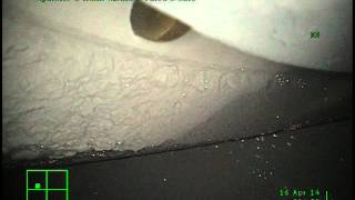 Rda Shiptech Engine World.