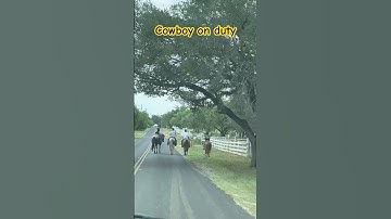 Normal day in Texas #cowboys  #shortvideo  #texas