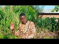 KISH BOY TUSOME NYAKATI Official Videos DIR MASESA 360 X 360 KISH BOY TUSOME NYAKATI Official Videos DIR MASESA 360 X 360