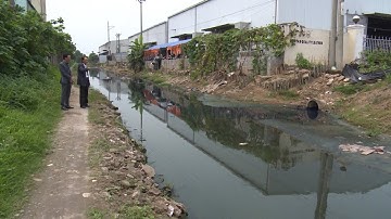 Nhức nhối tình trạng ô nhiễm môi trường ở cụm công nghiệp Di Trạch