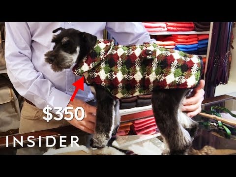 Video: NYC lova, pirtis ir už parduotuvės Sveiki atvykę keturių kojinių pirkinių bičiuliai su paskirtais naminiais gyvūnais vežančiais vežimėliais