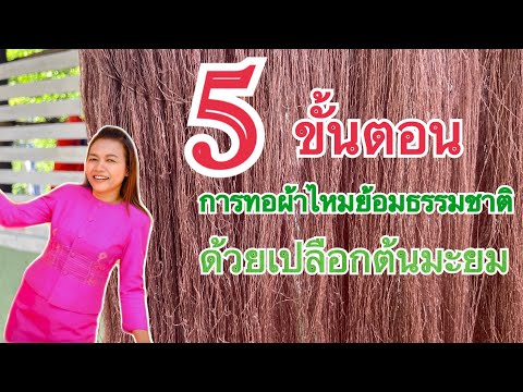 5 ขั้นตอน การทอผ้าไหมย้อมสีธรรมชาติ จากเปลือกต้นมะยม/ปาลิไหมไทย ชุดผ้าไหม palida thai silk